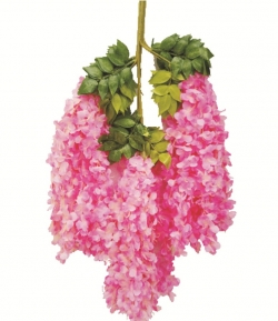 Artificial Flower Lout Con - 2 FT - Made of Plastic