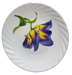 Quarter Plate - 7 Inch - Made Of  Regular Plastic Material