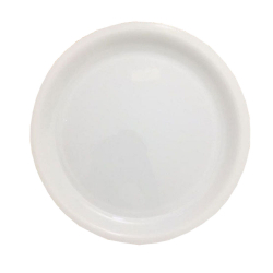 Plain Dinner Plates  - 12 Inch - Made of  Plastic