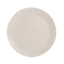 Plain Dinner Plate - 13 Inches - Made Of Plastic