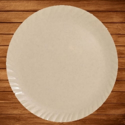 Plain Dinner Plate - 12 Inches - Made Of Plastic