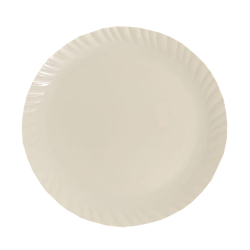 Plain Dinner Plate - 13 Inches - Made Of Plastic