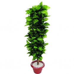 Artificial Flower Plant with Pot - 3.5 FT - Made of Plastic