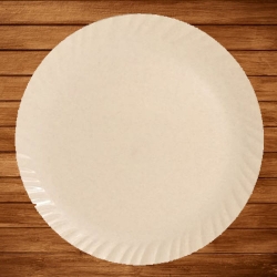 Plain Dinner Plate - 13 Inches - Made Of Plastic