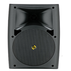 Studiomaster - Arc 40 B/W Wall Speaker - Wall Speaker