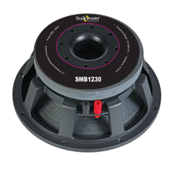 studiomaster speaker 300 watt price