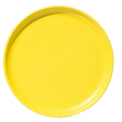 Quarter Plate - 8 Inch - Made Of  Regular Plastic Material