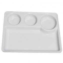 Dosa Plate - 4 Compartment Plate - 10 Inch X 13 Inch - Made of  Acrylic