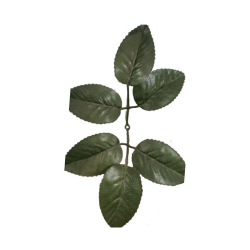 Artificial Rose Leaf - 6 in 1 Leaves - Made of Plastic (In Kg)