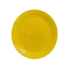 Plain Dinner Plate - Made Of Plastic