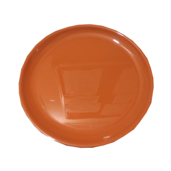 Plain Dinner Plate - Made Of Plastic