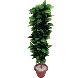 Artificial Flower Plant with Pot - Made of Plastic