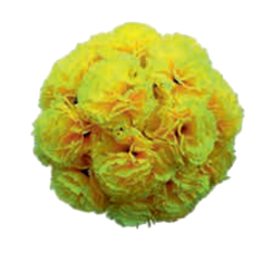 Artificial Hanging Flower Ball - Made of Plastic & Fabric