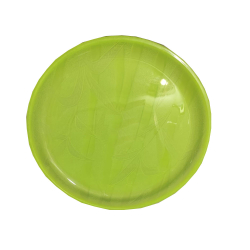 Plain Dinner Plate - Made Of Plastic