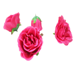 Artificial Rose ( Gulab )Flower - Made Of Fabric
