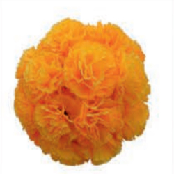 Artificial Hanging Flower Ball - Made of Plastic & Fabric