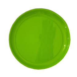 Plain Dinner Plate - Made Of Plastic