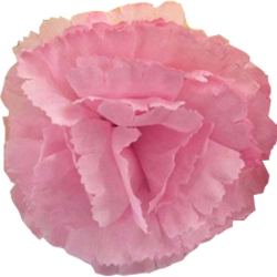 Artificial Loose Flower - Made of Plastic